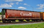 CN 110433 is a new listing.